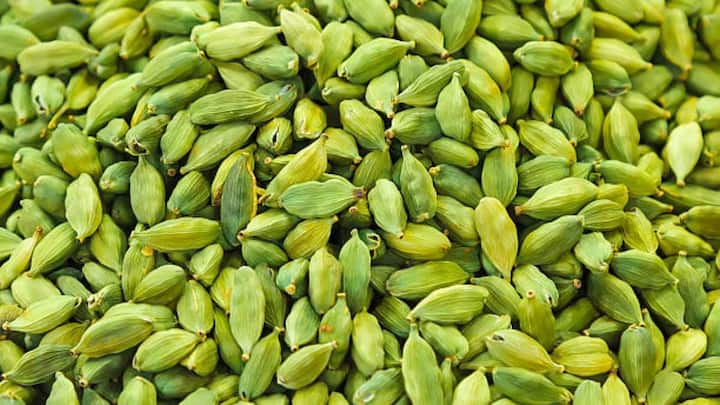 पश्चिमी घाट से इलायची भारतीय बंदरगाहों से होते हुए यूरोप पहुंचा, जहां इसकी खुशबू, दवा और मिठाइयों में इस्तेमाल के लिए बहुत कद्र की जाती थी. दिखने में बेहद छोटा, लेकिन असरदार और खुशबूदार इस मसाले को पुर्तगालियों ने ही भारत से यूरोप में पहुंचाया था. 17वीं शताब्दी में अंग्रेज भी ईस्ट इंडिया कंपनी के माध्यम से इसका बड़े पैमाने पर व्यापार करने लगे और मुनाफा कमाने लगे. इसी के साथ इलाचयी की डिमांड धीरे-धीरे पूरे यूरोप में बढ़ने लगी और यह वहां की शाही रसाई के साथ-साथ आम घरों का भी हिस्सा बन गया.