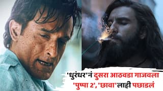 Dhurandhar BO Day 10: 'धुरंधर'नं दुसरा आठवडा गाजवला, 'पुष्पा 2', 'छावा'लाही पछाडलं; आतापर्यंत बॉक्स ऑफिसवर किती नोटा छापल्यात?
