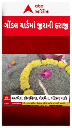 Gondal Marketing Yard : ગોંડલ માર્કેટમાં જીરાનો મૂહુર્તનો ભાવ બોલાયો 46,551 રૂપિયા