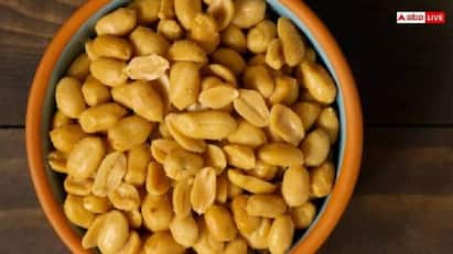 Peanuts Benefits: શિયાળાની ઋતુમાં મગફળીનું સેવન સ્વાસ્થ્ય માટે ખૂબ જ ફાયદાકારક છે. મગફળી શરીરને ઊર્જા આપે છે અને અનેક ગંભીર બીમારીઓથી બચાવ કરે છે.