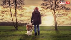 Human Dog Bond: कुत्ते क्यों हैं इंसान के सबसे अच्छे दोस्त, जानें क्या है इस गहरी दोस्ती के पीछे का कारण?