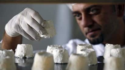 The World’s Most Expensive Cheese Comes From Donkeys, Not Cows