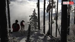 Human Dog Bond: कुत्ते क्यों हैं इंसान के सबसे अच्छे दोस्त, जानें क्या है इस गहरी दोस्ती के पीछे का कारण?
