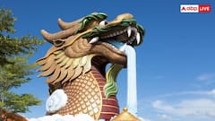Chinese Dragon: चीनी संस्कृति में ड्रैगन क्यों है खास, जानें क्या है इसका इतिहास?