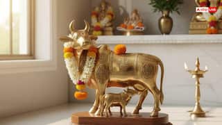 Vastu Tips: घर में कामधेनु की मूर्ति रखने से बढ़ती है संपत्ति और सुख-शांति? जानें वास्तु टिप्स