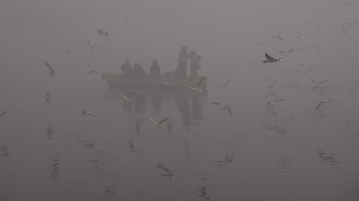Dense Smog Shrouds Delhi As AQI Remains 'Severe Plus'; Near-Zero Visibility Disrupts Flights