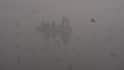 Dense Smog Shrouds Delhi As AQI Remains 'Severe Plus'; Near-Zero Visibility Disrupts Flights