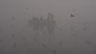 Dense Smog Shrouds Delhi As AQI Remains 'Severe Plus'; Near-Zero Visibility Disrupts Flights