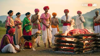 शिवाजी के पालतू कुत्ते का क्या था नाम, क्या सच में उसने चिता में कूदकर दे दी थी अपनी जान?