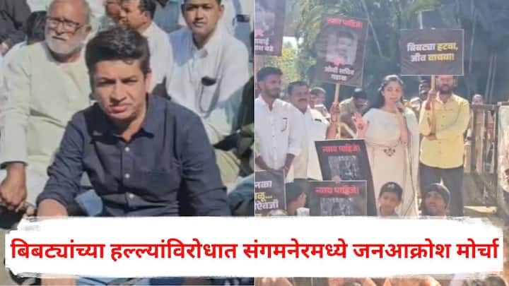 Sangamner News: बिबट्यांच्या हल्ल्यांविरोधात संगमनेरमध्ये जनआक्रोश मोर्चा काढण्यात आला. सत्यजित तांबे, जयश्री थोरात यांच्यासह ग्रामस्थ मोठ्या संख्येने या मोर्चात सहभागी झाले होते.