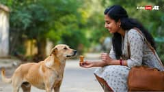 कुत्ता पालने वाले हो जाएं सावधान! ये काम नहीं किया तो कटेगा 5000 रुपए का चालान, जानें क्या है पूरा मामला