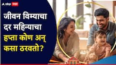 तुमच्या जीवन विम्याचा दर महिन्याचा हप्ता कोण अन् कसा ठरवतो?, प्रीमियम ठरवताना कसा होतोय AI चा वापर?, जाणून घ्या A टू Z माहिती