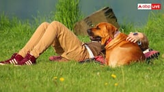 Human Dog Bond: कुत्ते क्यों हैं इंसान के सबसे अच्छे दोस्त, जानें क्या है इस गहरी दोस्ती के पीछे का कारण?