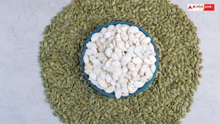 प्रेग्नेंसी में होने लगी है आयरन की कमी? इन सीड्स से भरपूर मिलेगा फायदा