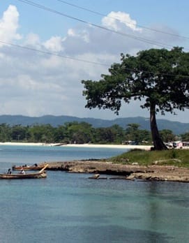 உலகின் 8 நகரங்களில் வாகனப் போக்குவரத்துக்கு தடை - எந்தெந்த ஊர்கள் தெரியுமா?