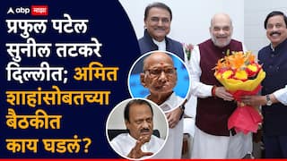 Praful Patel Sunil Tatkare Amit Shah Meet: शरद पवारांसोबत युती केल्यास काहीच हरकत नाही; अमित शाह प्रफुल पटेल अन् सुनील तटकरेंना काय काय म्हणाले?