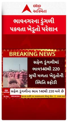 Bhavnagar Onion Price : ડુંગળીના પોષણક્ષમ ભાવ ન મળતા ખેડૂતોને હાલાકી, કેટલા મળી રહ્યા છે ભાવ?