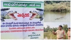 కోనసీమ లంక భూముల్లో మొసలి భయం; రైతుల్లో ఆందోళన, అటవీశాఖ చర్యలు!