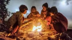 नाशिक, नगर गारठलं! पारा 8 अंशांपर्यंत खाली घसरला; पुण्यासह कुठे किती तापमानाची नोंद? पुढील 2 दिवस कसे?