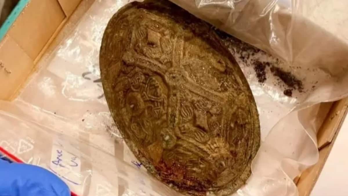 Viking Age Grave In Norway Reveals Woman With Mysterious Scallop Shells On Mouth