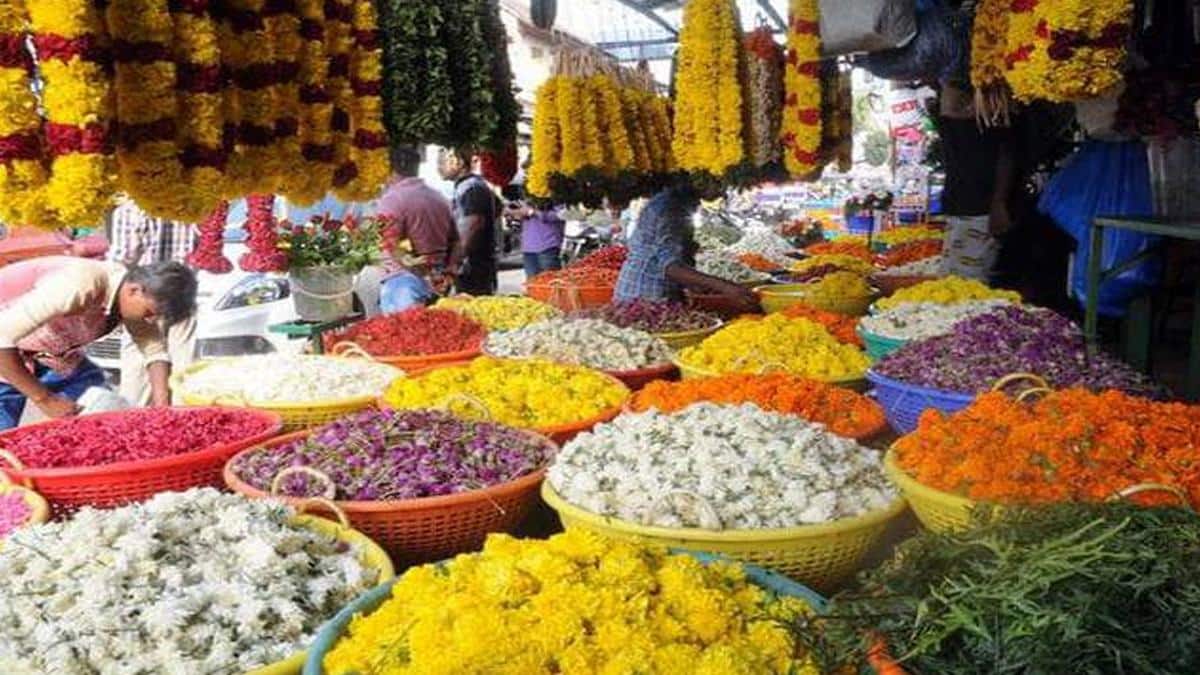 கிறிஸ்துமஸ் ஸ்பெஷல்: ஓசூரின் வெள்ளை ரோஜாக்களுக்கு கேரளாவில் குவிந்த ஆர்டர்கள்! விவசாயிகள் உற்சாகம் !