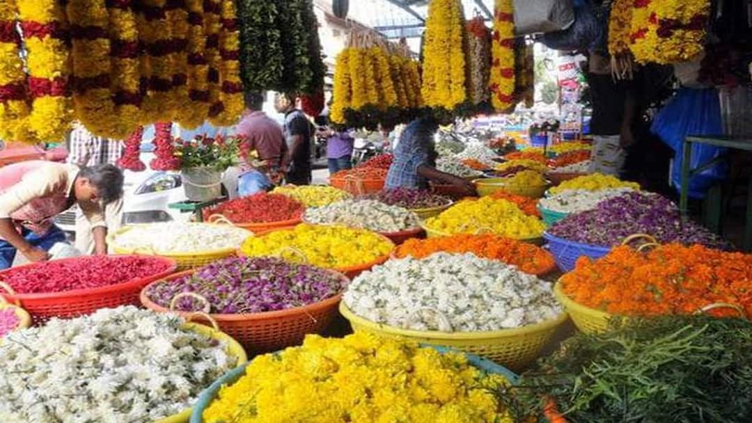 கிறிஸ்துமஸ் ஸ்பெஷல்: ஓசூரின் வெள்ளை ரோஜாக்களுக்கு கேரளாவில் குவிந்த ஆர்டர்கள்! விவசாயிகள் உற்சாகம் !