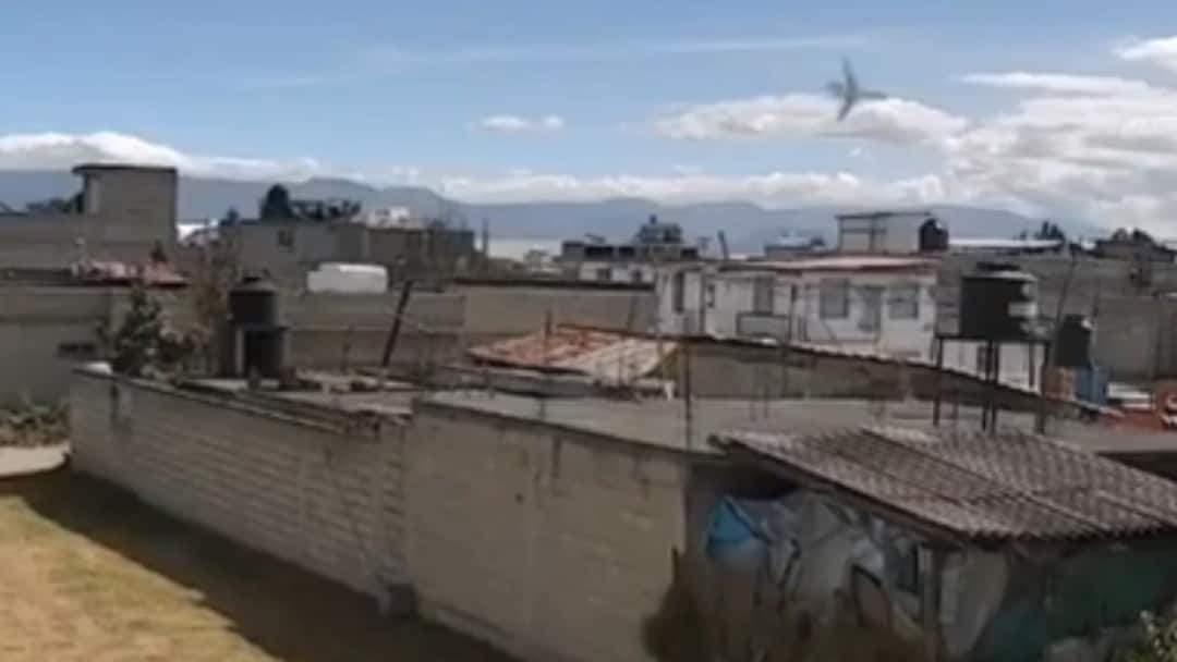 7 Killed As Plane Crashes During Emergency Landing In Central Mexico: Caught On Cam 7 Killed As Plane Crashes During Emergency Landing In Central Mexico: Caught On Cam 7 Killed As Plane Crashes During Emergency Landing In Central Mexico: Caught On Cam