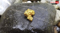 Gold Types: सिर्फ पीला ही नहीं बल्कि काले और गुलाबी रंग का भी होता है सोना, जानें सोने के सभी प्रकार और सब में फर्क