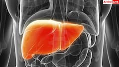 Kidney Damage: यूरिन का रंग हो गया ऐसा तो समझ जाएं सड़ने लगी है किडनी, तुरंत भागें डॉक्टर के पास