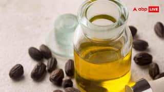 Jojoba Oil Benefits: स्किन के लिए क्या करता है जोजोबा ऑयल? जानें इसके जबरदस्त फायदे