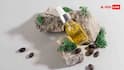Jojoba Oil Benefits: स्किन के लिए क्या करता है जोजोबा ऑयल? जानें इसके जबरदस्त फायदे