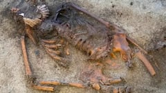 Viking Age Grave In Norway Reveals Woman With Mysterious Scallop Shells On Mouth