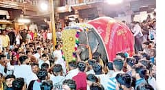 अखेर ठरलं! नांदणी मठाची माधुरी हत्तीण परत येणार; आरोग्यासंदर्भातील समाधानकारक अहवाल सादर, वनताराचे संवर्धन केंद्र बांधण्यासही परवानगी