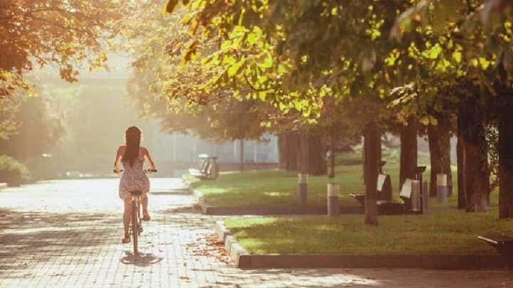 सुबह की सैर से घर लौटने के बाद सबसे पहले नींबू और शहद का पानी पिएं। इसके बाद सूखे मेवे, ताजे फल, जई या अंकुरित अनाज खाएं। ये सभी खाद्य पदार्थ पोषक तत्वों से भरपूर होते हैं और वजन घटाने में सहायक होते हैं।