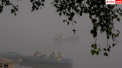 Toxic Air Health Impact: दिल्ली के 500 एक्यूआई में कौन-सा मास्क कामयाब और कौन-सा नहीं? जानें काम की बात