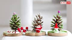 इंग्लैंड और अमेरिका में क्यों लगाया गया था क्रिसमस पर प्रतिबंध, जानें क्या थी इसके पीछे वजह?