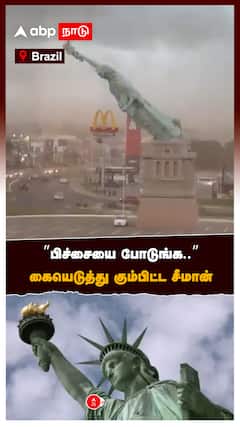 பலத்த காற்றுசரிந்து விழுந்த சுதந்திர தேவி சிலை:brazil statue fall