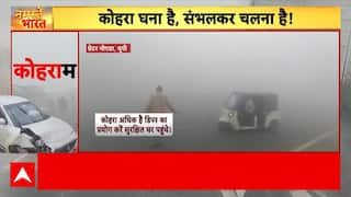 Weather Updates: कोहरे की चादर में छिपी सड़क, लोगों को आवाजाही में हो रही परेशानी | Fog | Smog |