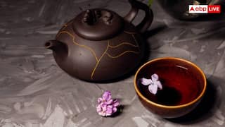 World Expensive Tea: यह है दुनिया की सबसे महंगी चाय, इसके पौधों को मिला है चीनी राष्ट्रीय धरोहर का दर्जा
