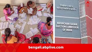 Bengal SIR Row : কমিশনের নজরে ১ কোটি ২৯ লক্ষ ৮ হাজার ৩৪০ 'অসঙ্গতিপূর্ণ' ভোটার, তালিকায় কোন কোন জেলা ?