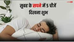 सुबह के सपने में ये 5 चीजें दिख जाए तो समझ लें लॉटरी लगने वाली है