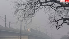 Toxic Air Health Impact: दिल्ली के 500 एक्यूआई में कौन-सा मास्क कामयाब और कौन-सा नहीं? जानें काम की बात