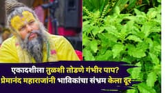Premanand Maharaj: एकादशीला तुळशी तोडणे एक गंभीर पाप? प्रेमानंद महाराजांनी भाविकांचा संभ्रम केला दूर, म्हणाले..