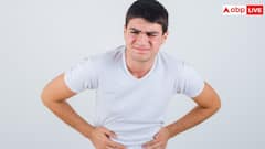 सड़ी हुई किडनी को डॉक्टरों ने बना दिया हेल्दी, क्या इंसानों पर भी कारगर होगी यह तकनीक?