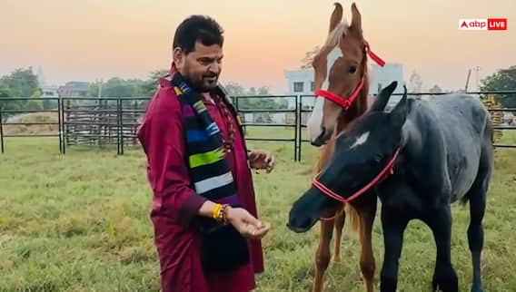 बृजभूषण शरण सिंह को तोहफे में मिला 1.5 करोड़ का घोड़ा, दोस्तों ने जन्मदिन पर दिया गिफ्ट