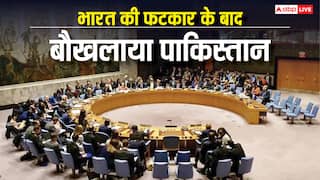 ‘कश्मीर भारत का हिस्सा नहीं...’, भारत की लताड़ के बाद बिलबिलाया पाकिस्तान, कहां बोला सफेद झूठ