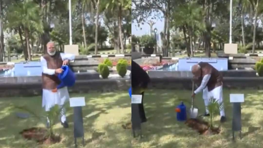 PM Modi Plants Sapling At Ethiopian Parliament, links ‘Ek Ped Maa Ke Naam’ With Green Legacy Drive
