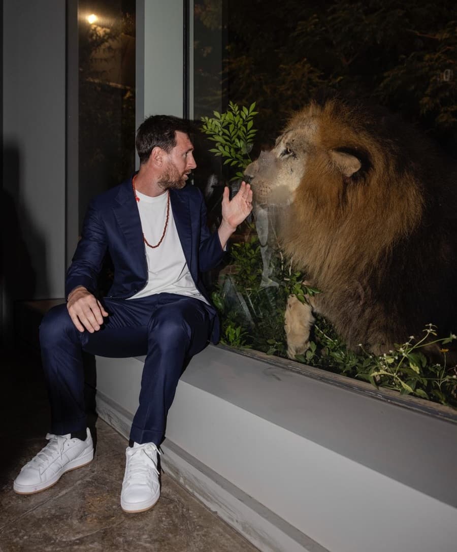 Messi Visits Vantara: వంతారాను సందర్శించిన లియోనెల్ మెస్సీ.. అదొక అద్భుతం, గ్రేట్ జాబ్ అని ప్రశంసలు