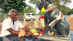 Dog Temple: भारत के इस मंदिर में भगवान नहीं कुत्तों की होती है पूजा, दिलचस्प है वजह