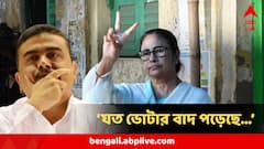 মমতা যে বুথে ভোট দেন সেখানে বাদ এত শতাংশ ভোটার ! লিস্ট বেরোতেই শুভেন্দুর দাবি 'সংখ্যাটা ...'
